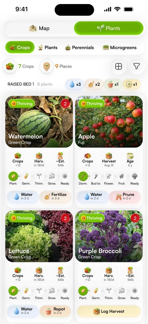 Crops in a raised bed with growth stages, harvest dates and estimated yield